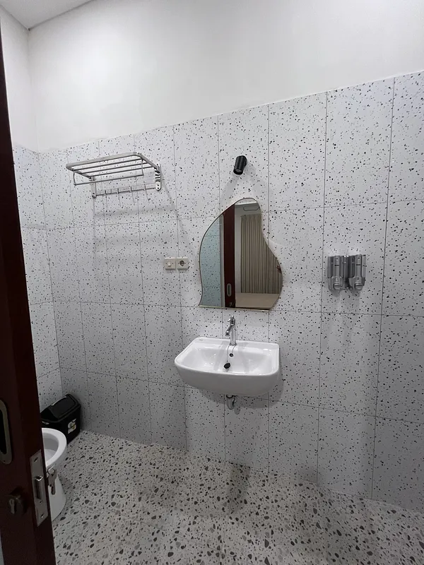 Room 1 toilet mirror